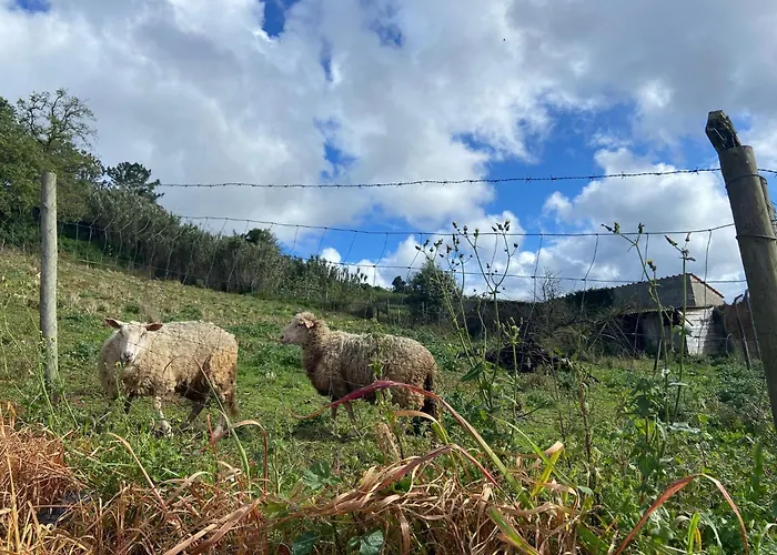 Nyaraló Canto Celeste Alcobaça